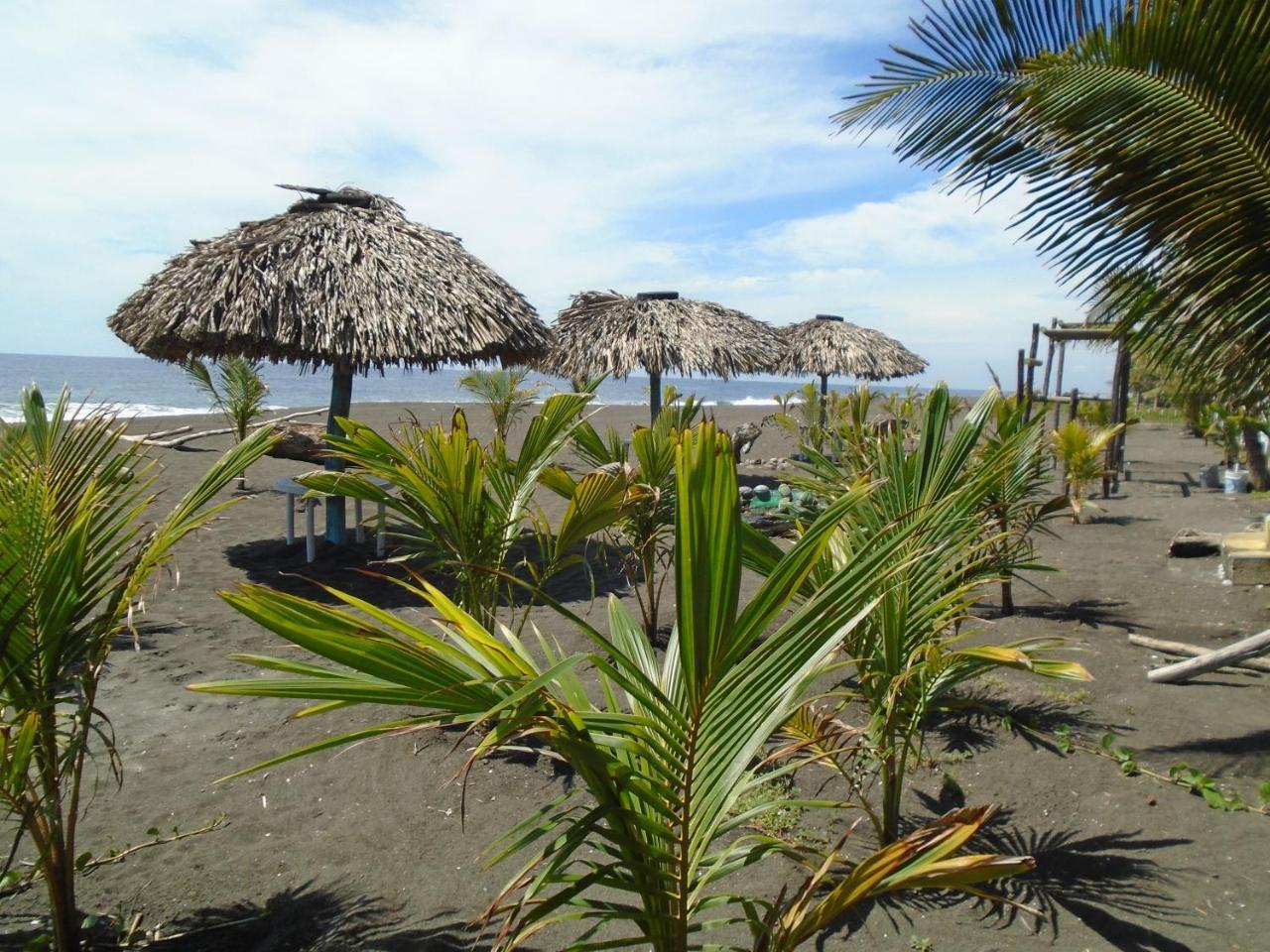 Marbella Eco Lodge Monterrico Buitenkant foto